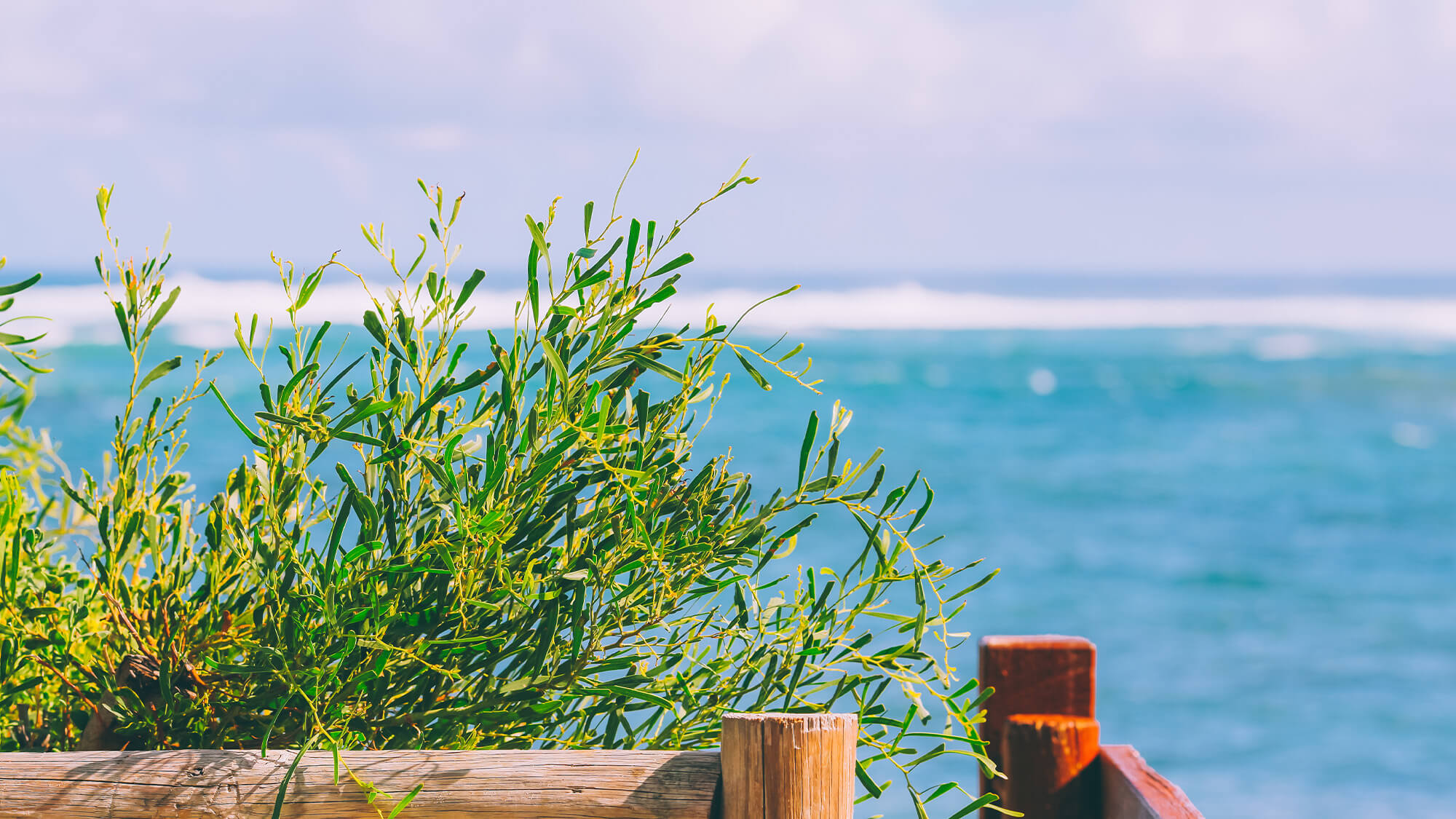 Ocean view