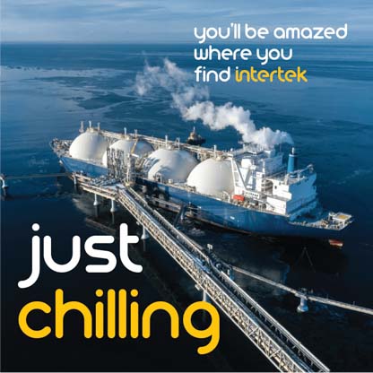 A docked LNG carrier ship