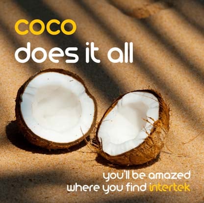 A cracked open coconut in the sand