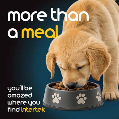 A puppy eating food from a bowl